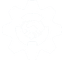 لوگو سمت راست تکصان